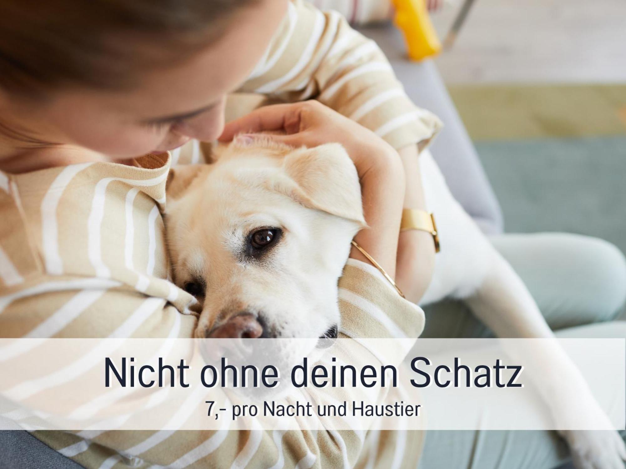 Ferienhaus Toepferhaus - Strandnah, Haustierfreundlich, Optimal Fuer Workation, Kaminofen, Garten, Fuer Paare Und Alleinreisende ساينبرغ المظهر الخارجي الصورة
