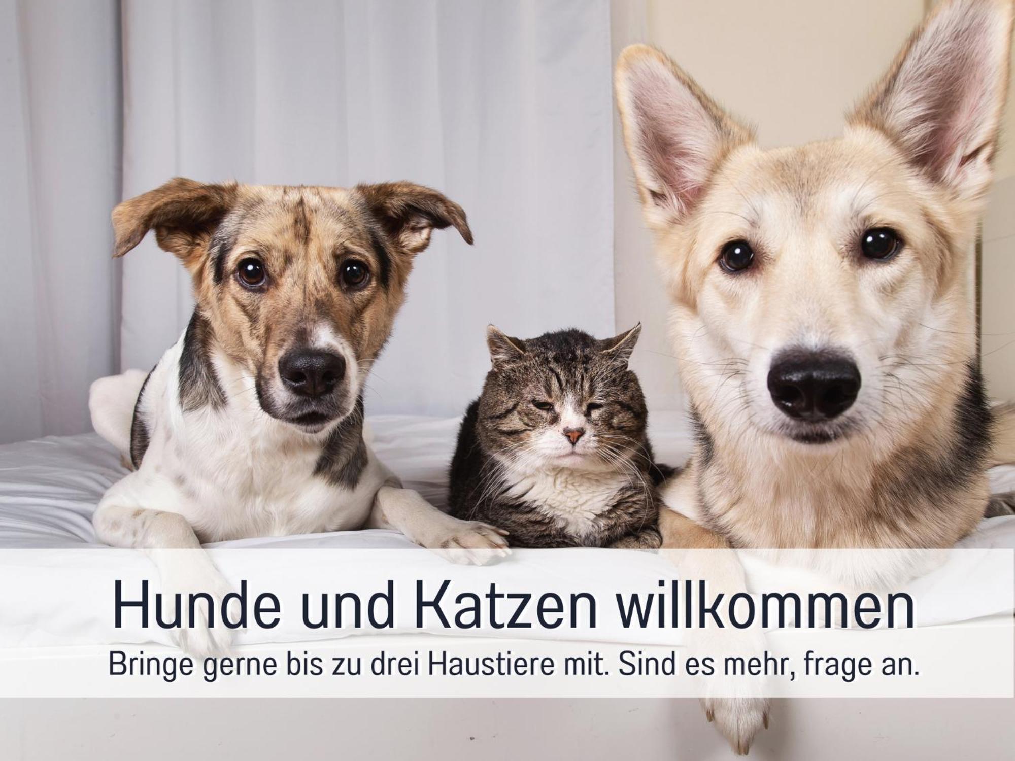 Ferienhaus Toepferhaus - Strandnah, Haustierfreundlich, Optimal Fuer Workation, Kaminofen, Garten, Fuer Paare Und Alleinreisende ساينبرغ المظهر الخارجي الصورة