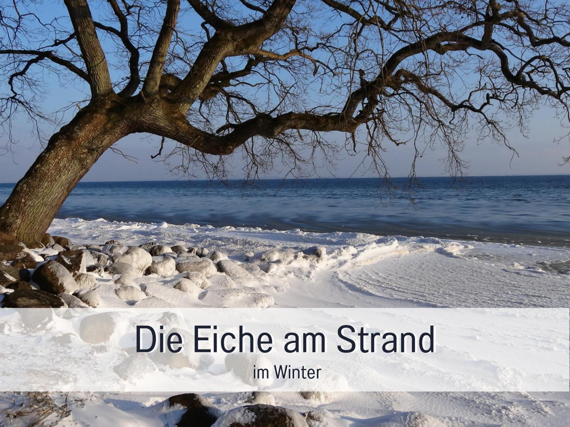 Ferienhaus Toepferhaus - Strandnah, Haustierfreundlich, Optimal Fuer Workation, Kaminofen, Garten, Fuer Paare Und Alleinreisende ساينبرغ المظهر الخارجي الصورة